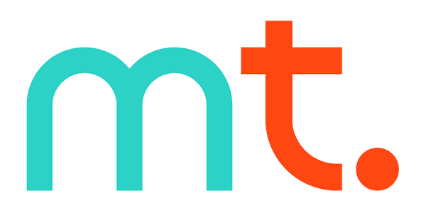 Visa partner logo
